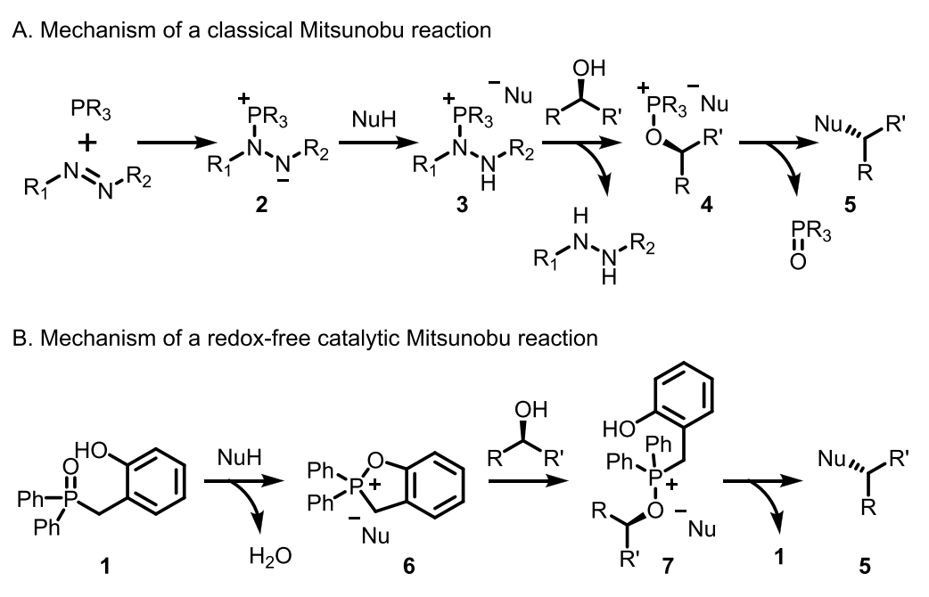 光延反应（Mitsunobu reaction）高效构建 C-O、C-O、C-N和C-S 键 第4张