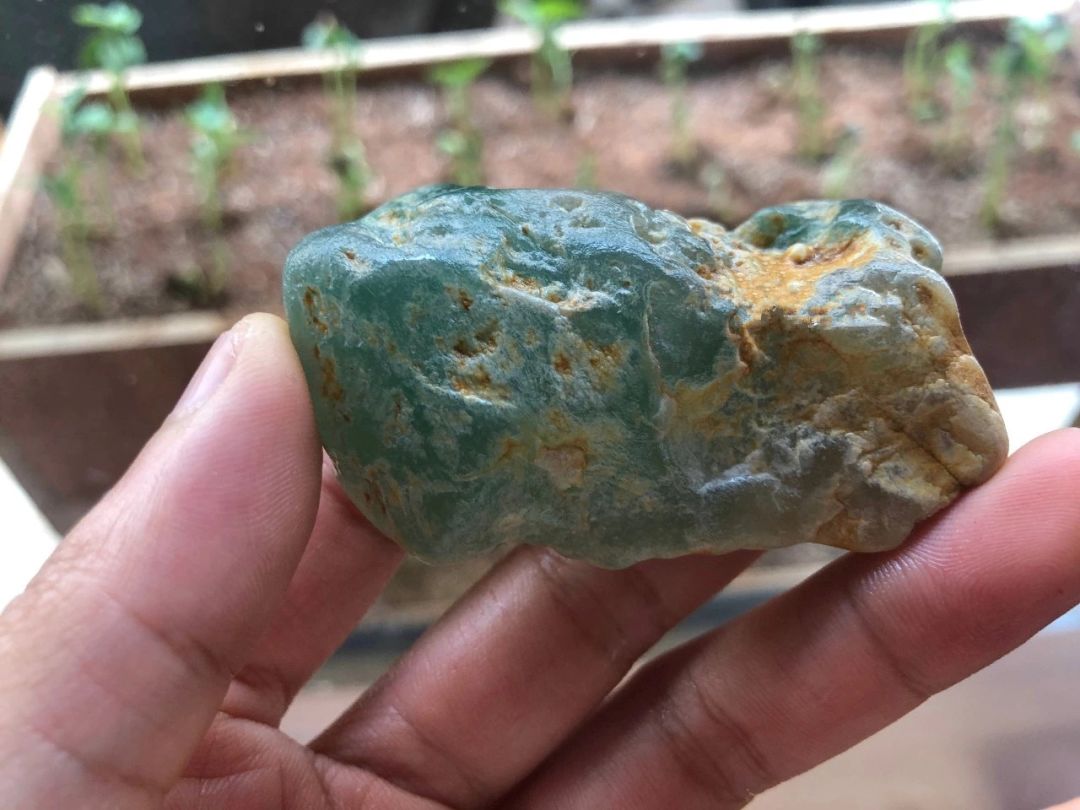 翡翠原石皮壳都可以看出品质，慢慢品！