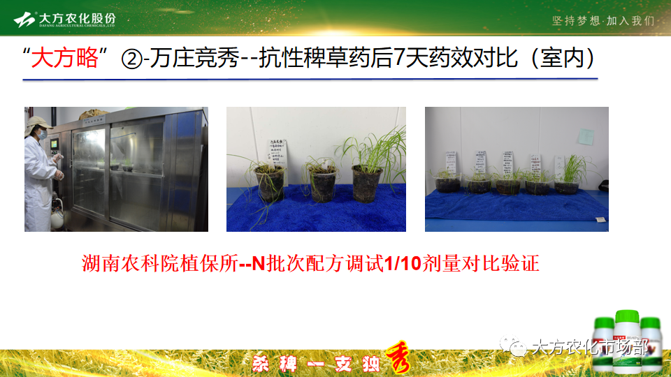 稻田除稗，用好才算“秀” --“万庄竞秀”应用案例剖析