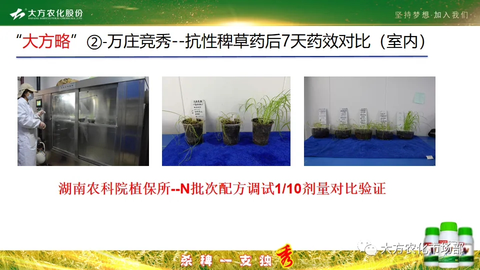 稻田除稗,用好才算“秀” --“万庄竞秀”应用案例剖析 稻田除稗,用好才算“秀” --“万庄竞秀”应用案例剖析