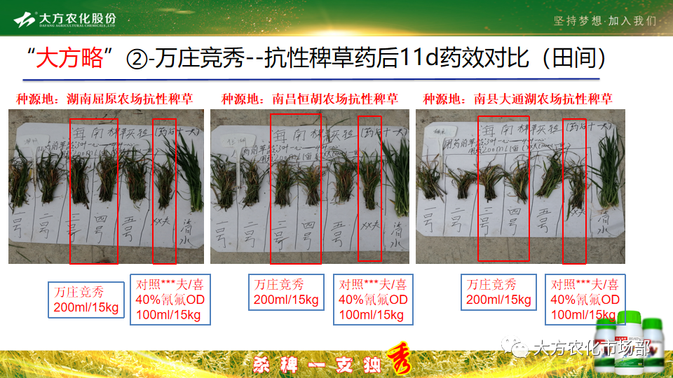 稻田除稗，用好才算“秀” --“万庄竞秀”应用案例剖析