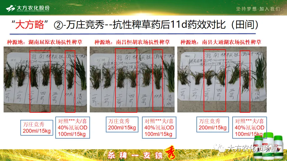 稻田除稗,用好才算“秀” --“万庄竞秀”应用案例剖析 稻田除稗,用好才算“秀” --“万庄竞秀”应用案例剖析