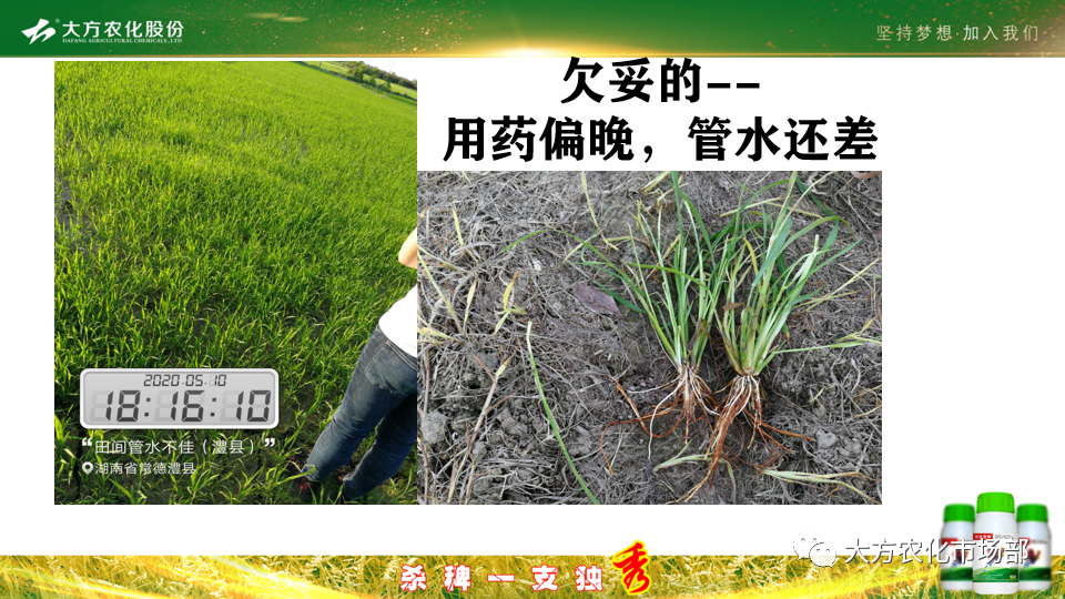 稻田除稗，用好才算“秀” --“万庄竞秀”应用案例剖析