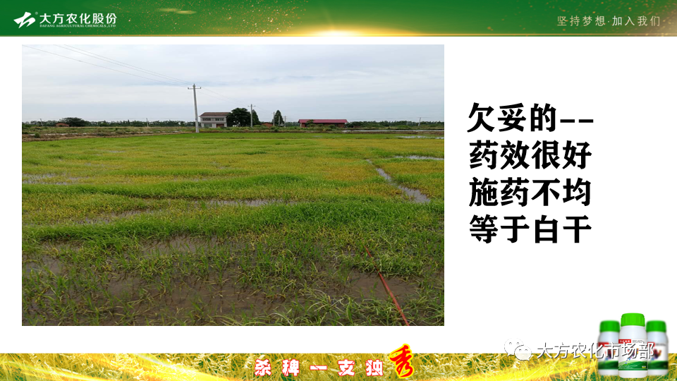 稻田除稗，用好才算“秀” --“万庄竞秀”应用案例剖析