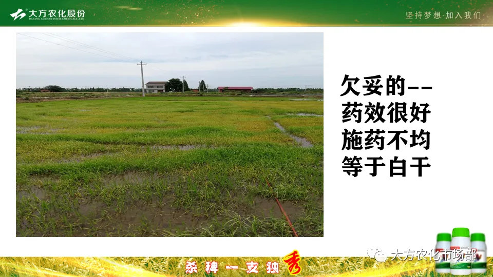 稻田除稗,用好才算“秀” --“万庄竞秀”应用案例剖析 稻田除稗,用好才算“秀” --“万庄竞秀”应用案例剖析