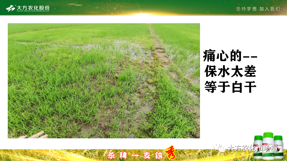 稻田除稗，用好才算“秀” --“万庄竞秀”应用案例剖析