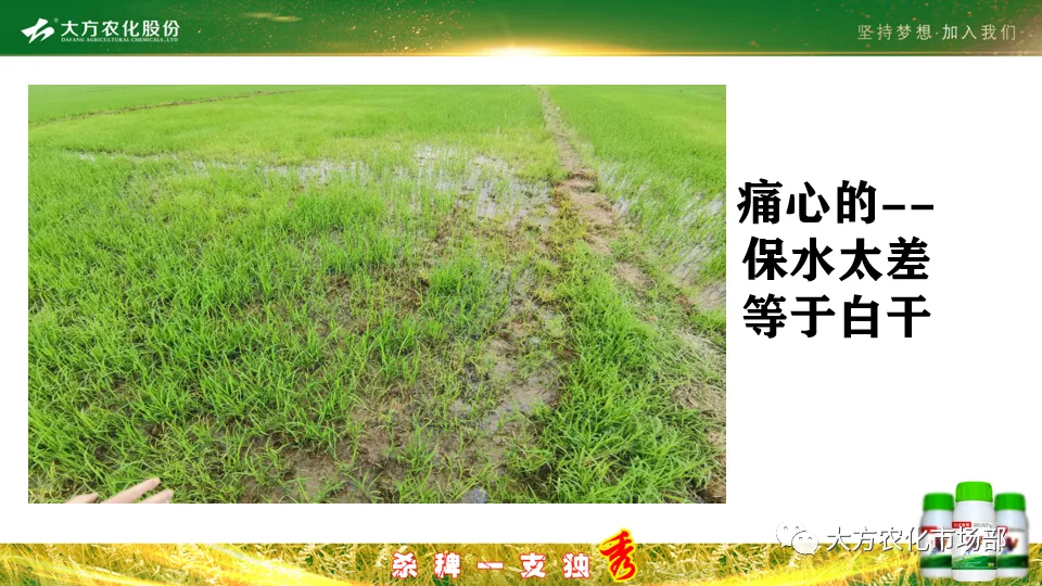 稻田除稗,用好才算“秀” --“万庄竞秀”应用案例剖析 稻田除稗,用好才算“秀” --“万庄竞秀”应用案例剖析