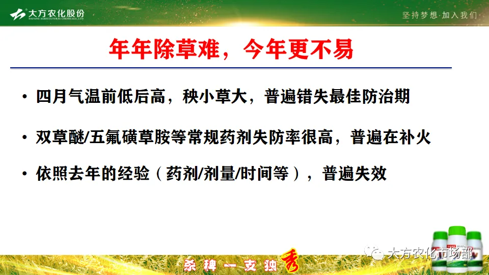 护呵好,领略“稻青草枯”的震撼! 护呵好,领略“稻青草枯”的震撼!