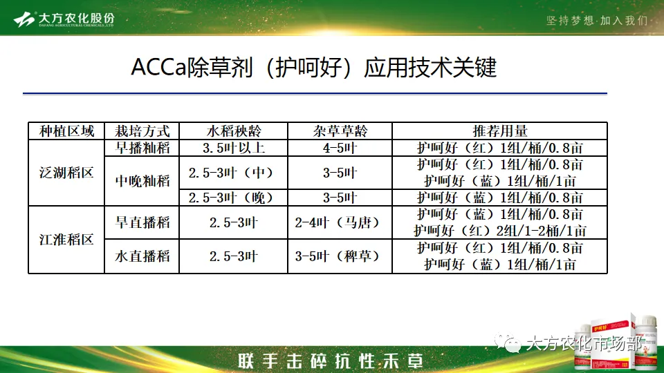 护呵好,领略“稻青草枯”的震撼! 护呵好,领略“稻青草枯”的震撼!