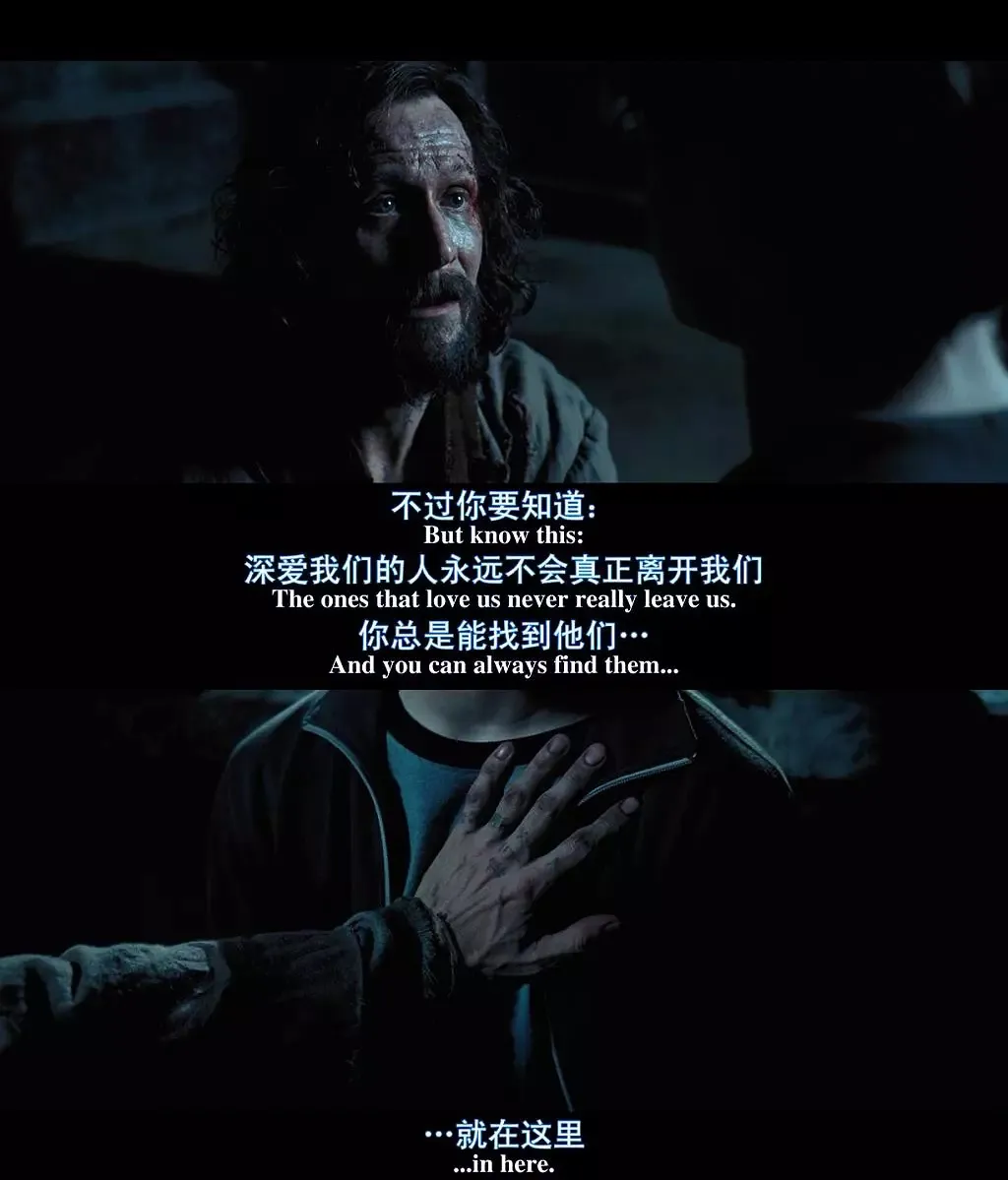 哈利波特40岁了：有一种青春，叫霍格沃茨（组图） - 21