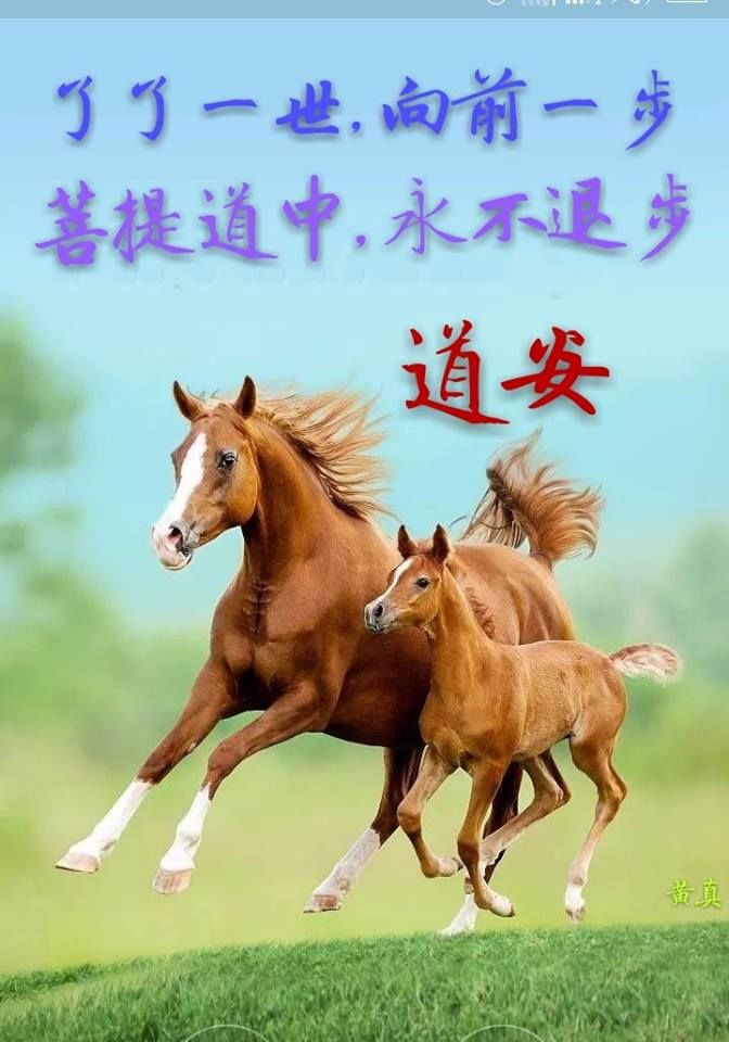 天道至尊至貴 求道篇 Mailycloud 微信公众号文章阅读 Wemp