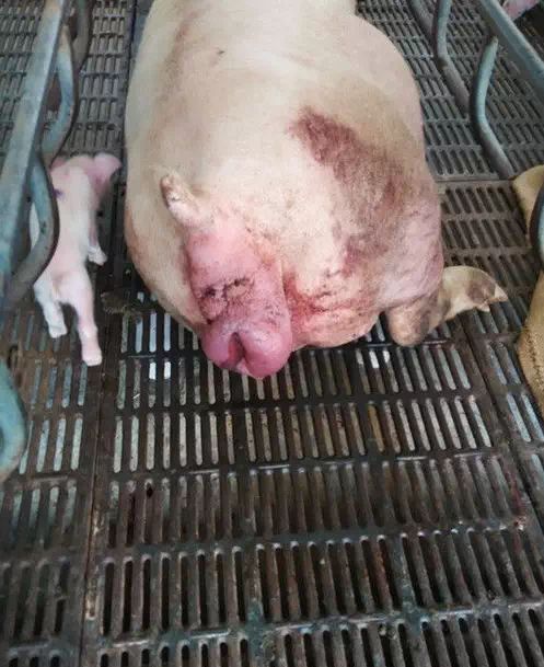 长沙道勤生物科技有限公司长沙道勤生物科技有限公司