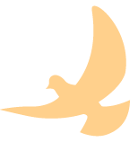 糖化血红蛋白用什么试管【川骨知乎】读懂血糖的“记忆”——糖化血红蛋白与糖尿病管理_https://www.jmylbn.com_新闻资讯_第8张