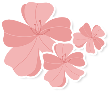 东北大风天最冷空力 高温9级沿海市白气发泉州