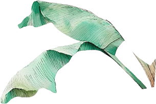 医院器械怎么管理如何做好外来医疗器械管理——守护生命安全，筑牢无菌防线_https://www.jmylbn.com_新闻资讯_第19张