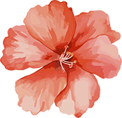 为什么到了夏天慢阻肺更厉害慢阻肺夏季稳定期就放任不管了吗？_https://www.jmylbn.com_新闻资讯_第10张