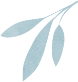 640 - 2025-05-12T153625.988.png
