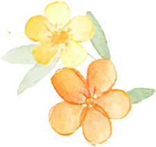 数字牙片机怎么用告别“咬牙印”，市二院数字化口腔诊疗让患者不再害怕～_https://www.jmylbn.com_新闻资讯_第4张