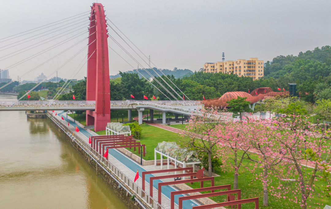 靓了! - 工作动态 _江门市江海区人民政府门户网站