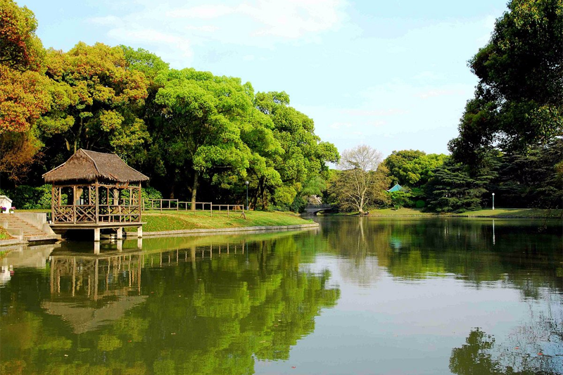 【预告】2024长三角度假医疗绿色健康高峰论坛—上海首长养疗团3天2夜（西郊国宾馆）