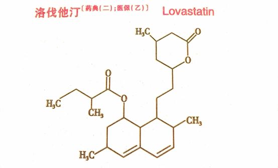 化学结构的不同