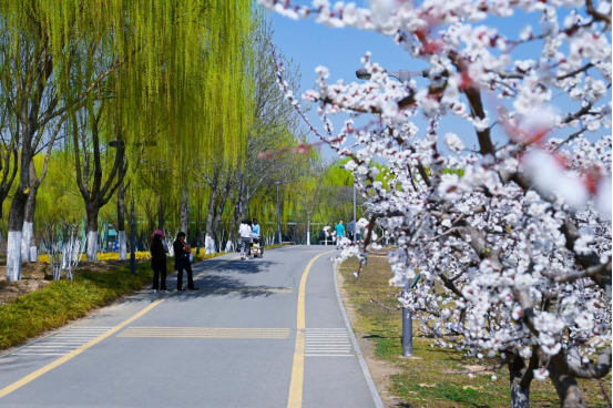 最忒色的西安旅游攻略！生态、历史、艺术、市井烟火……