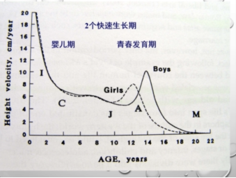 新華醫院顧學范教授解答：遺傳身高不理想的孩子有辦法改善身高嗎？ 親子 第3張