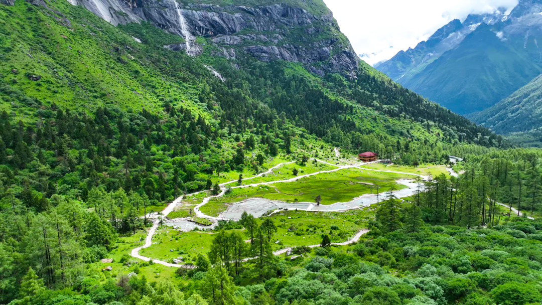 顶流福宝回阿坝阿坝文旅积极对接韩国市场