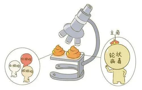 化验大便怎么采集【科普】宝宝拉肚子，你会正确采集大便吗？_https://www.jmylbn.com_新闻资讯_第5张