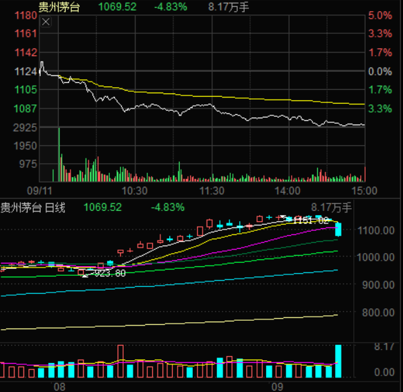 道哥打板策市丨白酒大跌