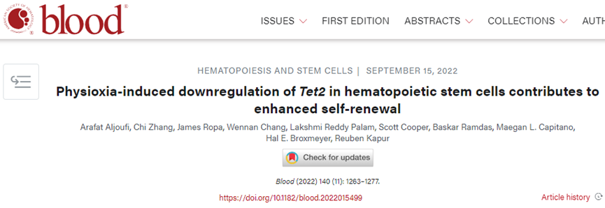 bm细胞是什么细胞【Blood】物理性诱导的造血干细胞中Tet2的下调有助于增强自我更新_https://www.jmylbn.com_新闻资讯_第2张