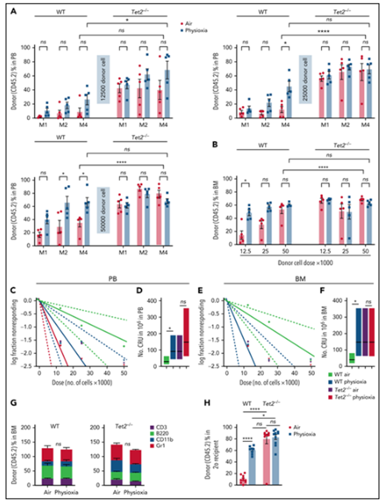 bm细胞是什么细胞【Blood】物理性诱导的造血干细胞中Tet2的下调有助于增强自我更新_https://www.jmylbn.com_新闻资讯_第11张