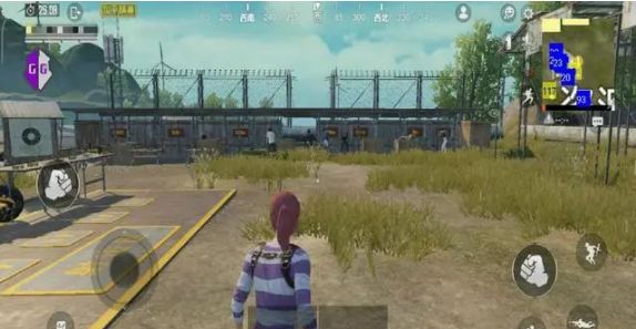 和平精英外挂封号图片_和平精英外挂网站_和平精英ios外挂qq群