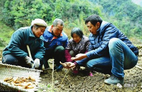 致富经泥鳅养殖_养殖泥鳅挣钱吗_致富养殖泥鳅图片