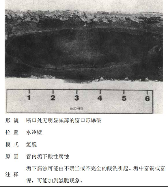 鍋爐“爆管”原因一眼可以看透，5分鐘教會你！的圖12