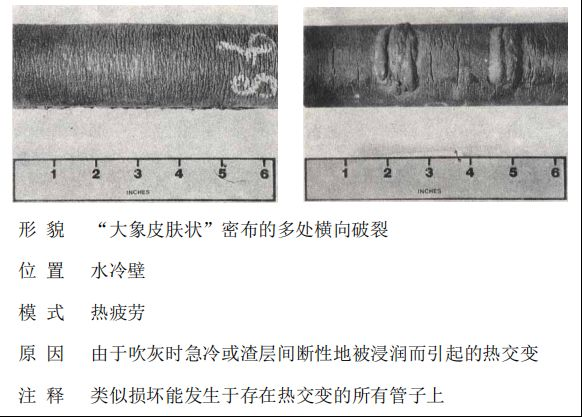 鍋爐“爆管”原因一眼可以看透，5分鐘教會你！的圖10