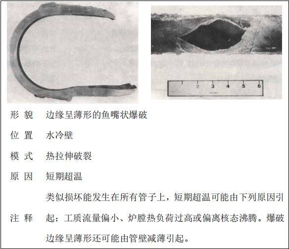鍋爐“爆管”原因一眼可以看透，5分鐘教會你！的圖13