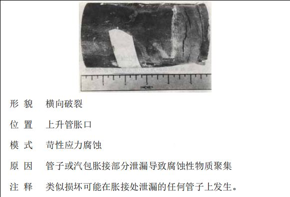 鍋爐“爆管”原因一眼可以看透，5分鐘教會你！的圖7