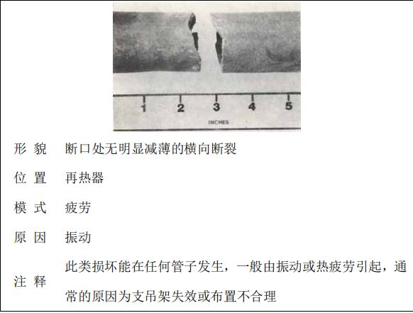 鍋爐“爆管”原因一眼可以看透，5分鐘教會你！的圖6