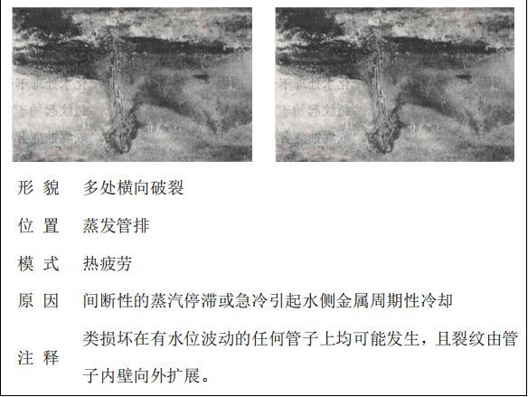 鍋爐“爆管”原因一眼可以看透，5分鐘教會你！的圖9
