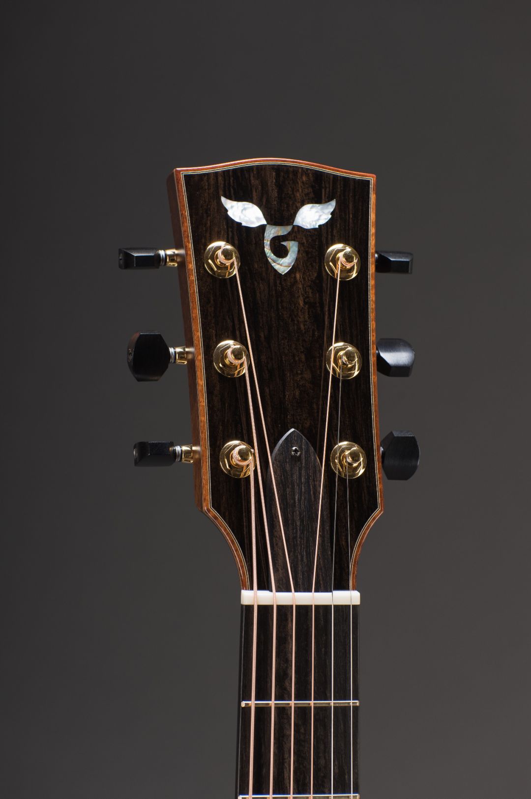 jin【上期回顾】寻琴记|第040期:32寸吉他上的交响,绝版tacoma p1点击