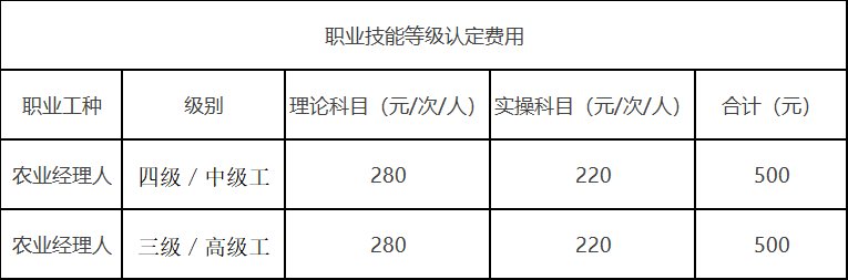 2024年4級查詢_2024年六月六級真題_2024年是什么命年