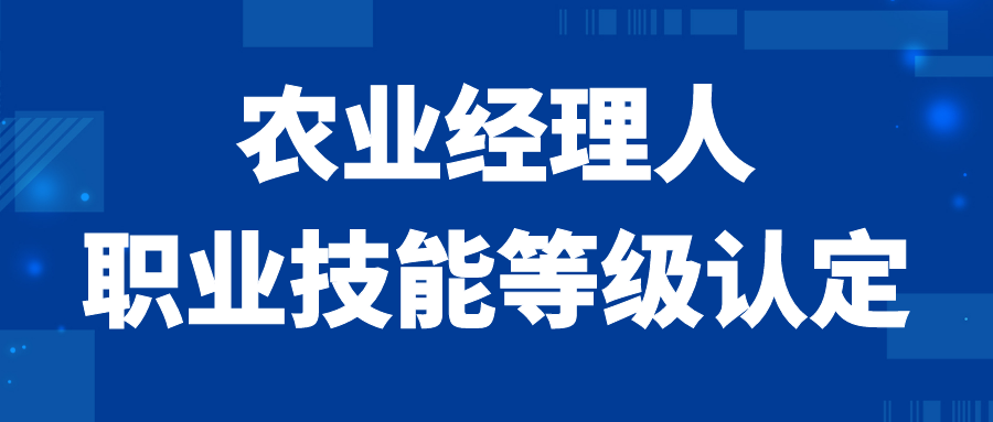 2024年是什么命年_2024年4級查詢_2024年六月六級真題