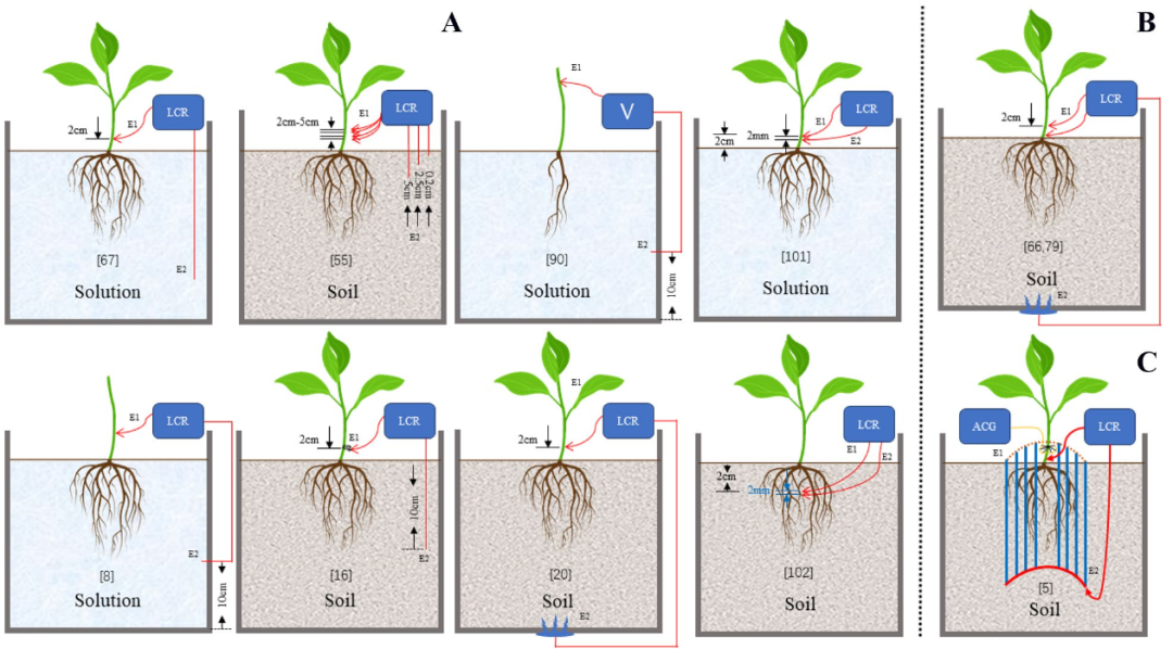 电阻抗谱在植物根系研究的应用 热点讯息网