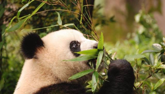 重庆周边2小时车程自驾游_成都到九寨沟车程是几个小时_上海2小时车程的旅游胜地