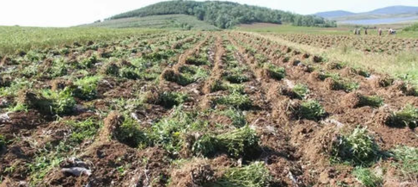 640?wx_fmt=png&tp=webp&wxfrom=5&wx_lazy=1&wx_co=1