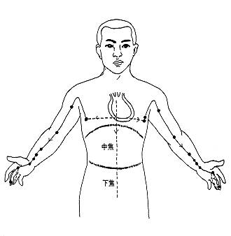 一个动作，通经络，排毒素！