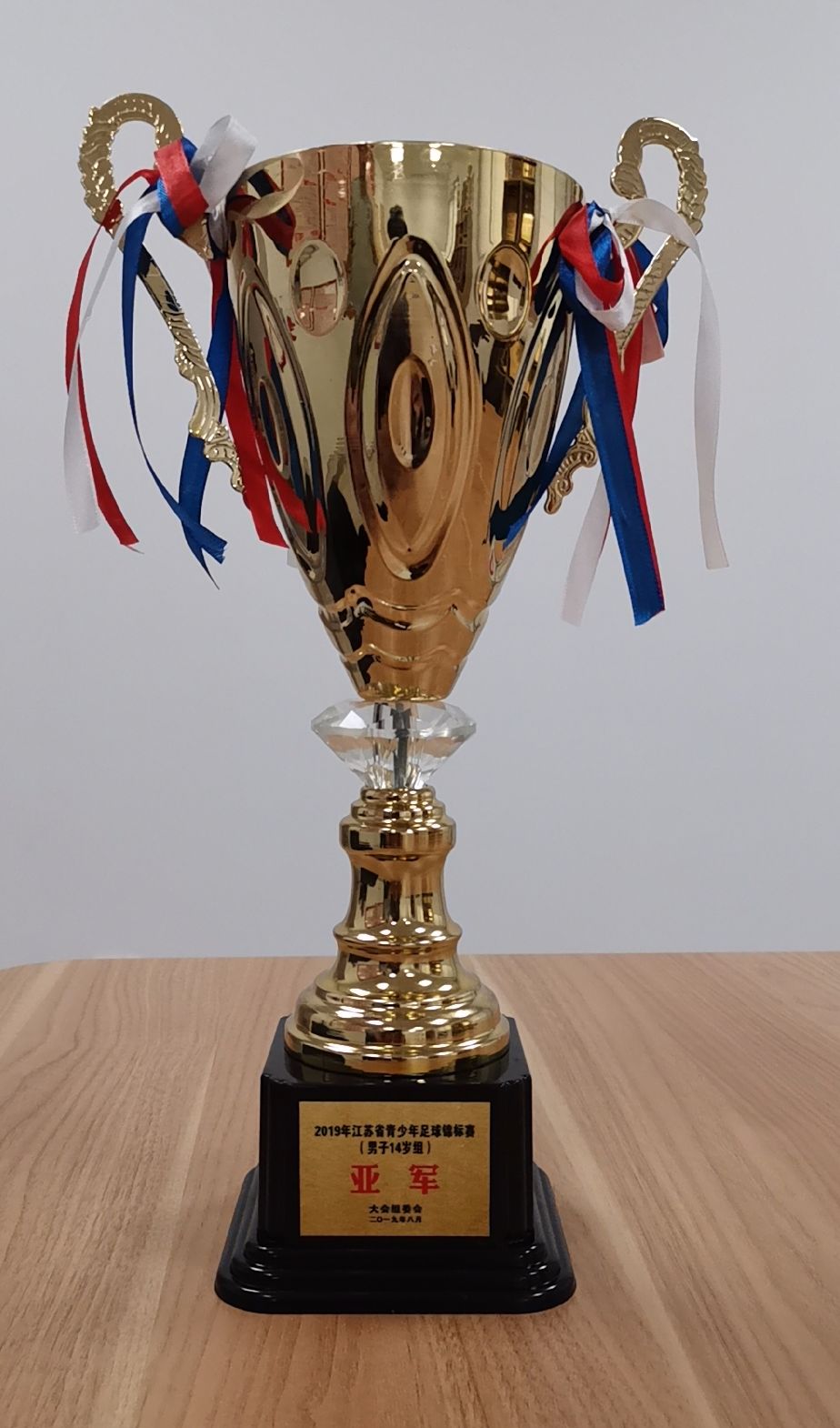 江苏9城足球大战 江阴这群14岁小将们获得不错的成绩