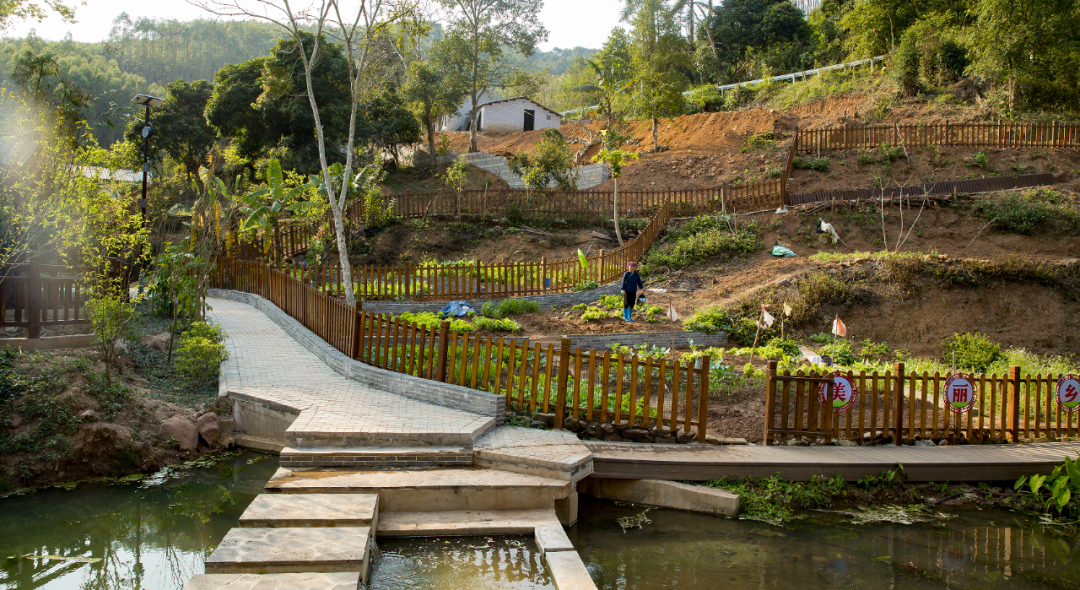 上石镇:打造乡村振兴示范点 美丽乡村展新颜