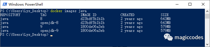 Docker最全教程之使用Docker搭建Java开发环境（十七） 